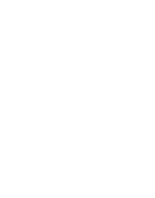 Pearl Street Systems logo